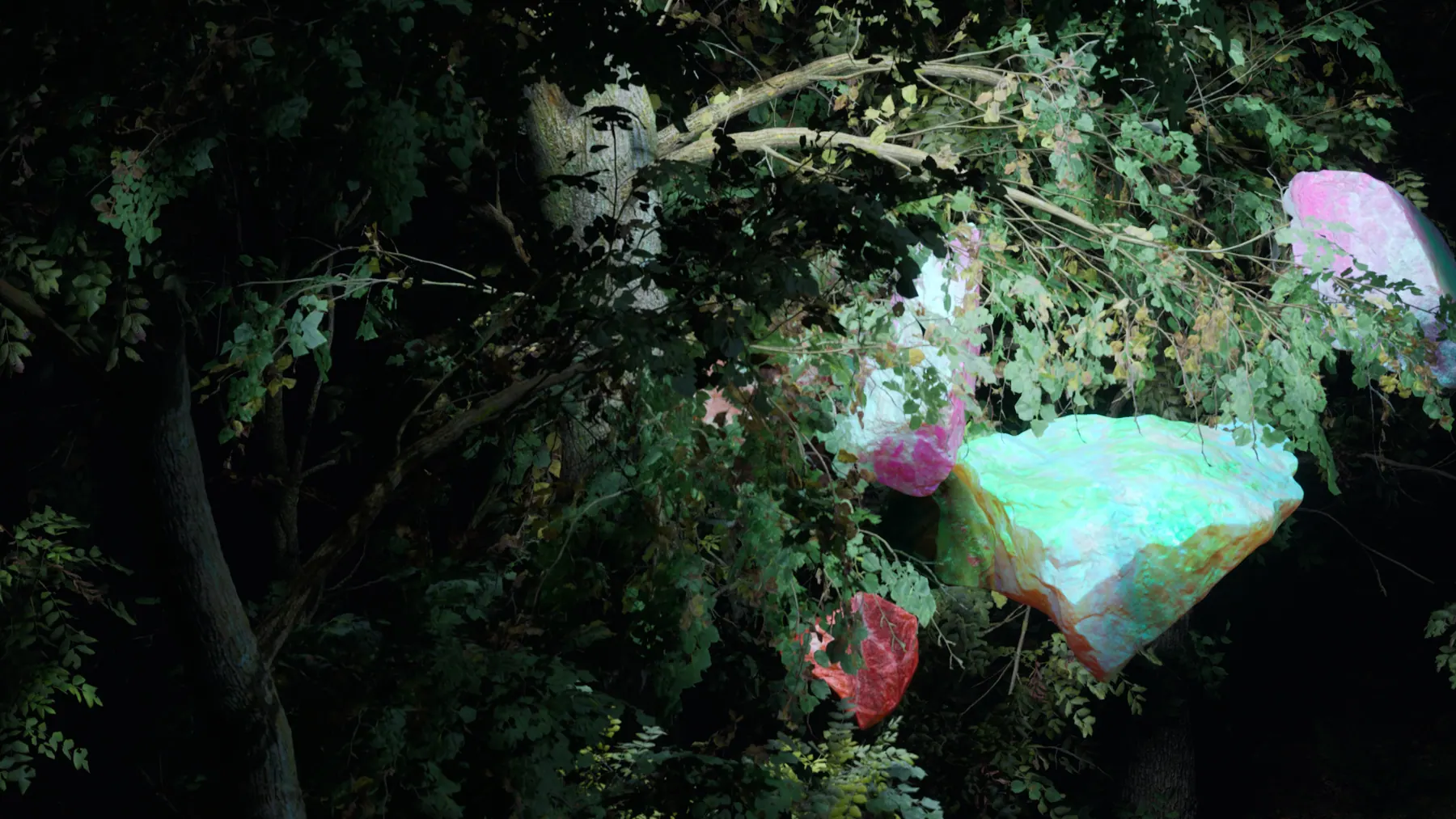 Alicia Keys Gem Forest